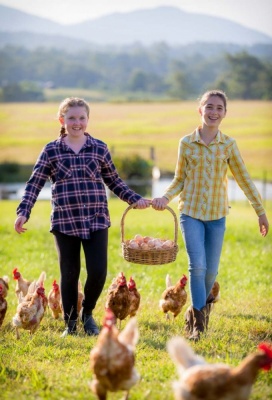 Recent-work - Lindsay Moller Productions