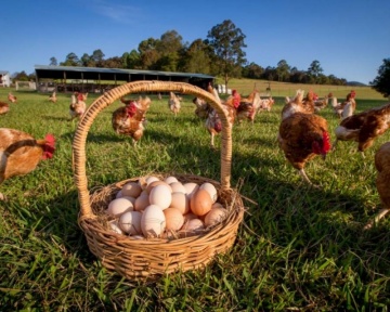 Recent-work - Lindsay Moller Productions