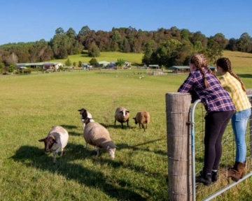 Recent-work - Lindsay Moller Productions