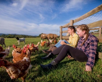 Recent-work - Lindsay Moller Productions