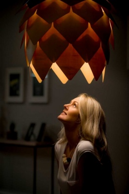 Recent-work - Lindsay Moller Productions