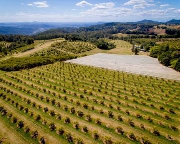 Recent-work - Lindsay Moller Productions