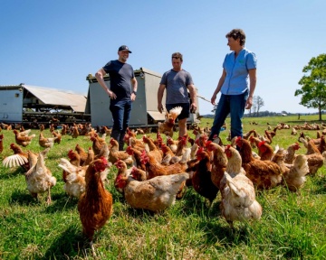 Recent-work - Lindsay Moller Productions