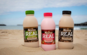 Photography - Lindsay Moller Productions