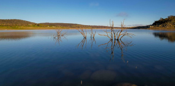 Photography - Lindsay Moller Productions