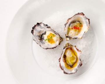 Recent-work - Lindsay Moller Productions