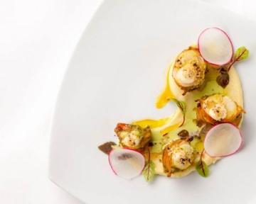 Recent-work - Lindsay Moller Productions