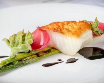 Recent-work - Lindsay Moller Productions