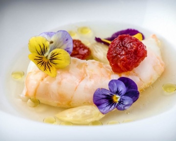 Recent-work - Lindsay Moller Productions