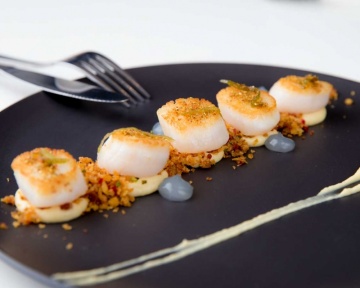 Recent-work - Lindsay Moller Productions