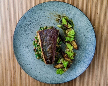 Recent-work - Lindsay Moller Productions