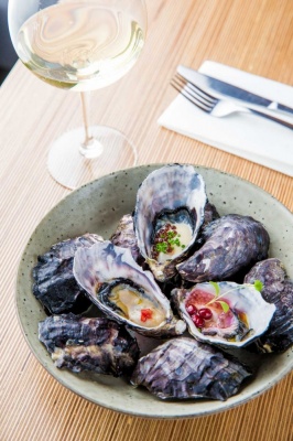 Recent-work - Lindsay Moller Productions