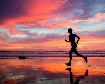 Recent-work - Lindsay Moller Productions