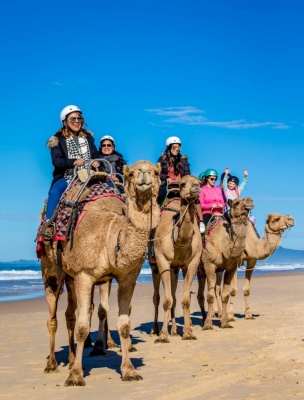 Recent-work - Lindsay Moller Productions