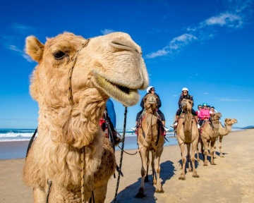 Recent-work - Lindsay Moller Productions