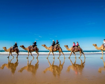 Recent-work - Lindsay Moller Productions