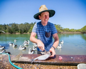 Recent-work - Lindsay Moller Productions