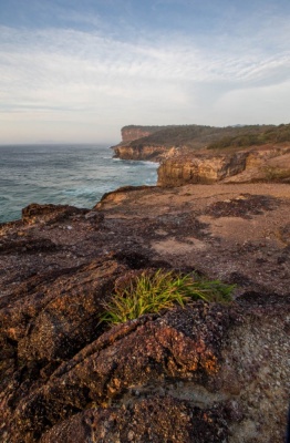 Recent-work - Lindsay Moller Productions